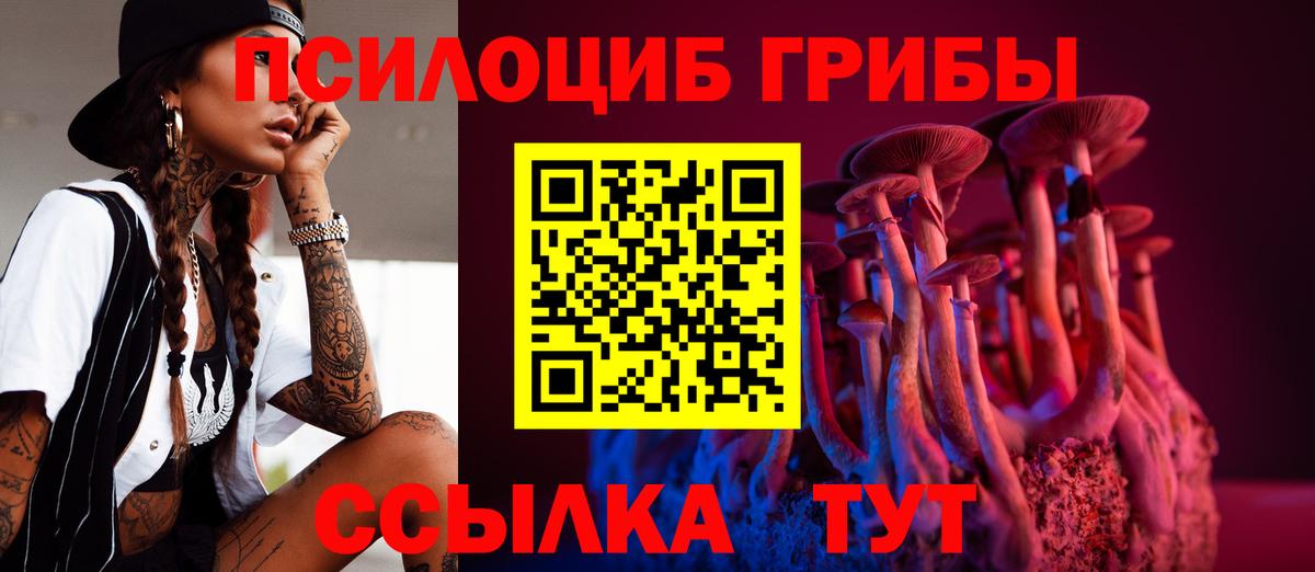 Галлюциногенные грибы Psilocybine cubensis Камышин