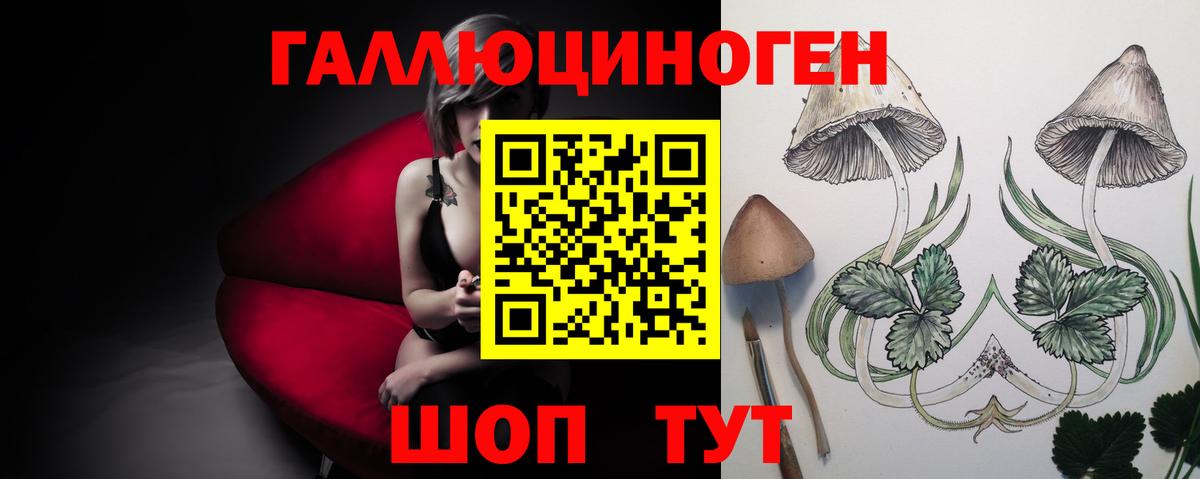Псилоцибиновые грибы ЛСД  Псилоцибиновые грибы Psilocybe  Вход с VPN  Камышин 